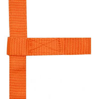 Produktbild von Norton Mini Halfter und Stricke für Shettys aus Kunststoff in Gelb oder Orange