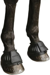 Produktbild von Norton NoTurn Hufglocken Schwarz 6 mm Größe L