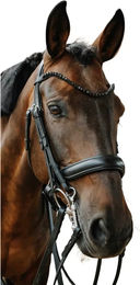 Produktbild von Norton Onyx Trense aus Leder in Schwarz