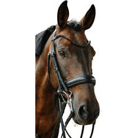 Produktbild von Norton Onyx Trense aus Leder in Schwarz