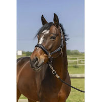 Produktbild von Norton Pferdehalfter 4 Linien aus Kunststoff Schwarz Silber für Ponys