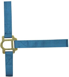 Produktbild von Norton Pferdehalfter aus Nylon mit Schnallenverschlüssen in Blau für Vollblut