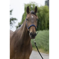 Produktbild von Norton Pferdehalfter für Ponys aus Kunststoff in Blau