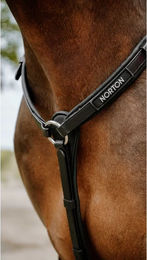 Norton Pop Jagdhalsband für Pferde aus Biothane Schwarz – Bild 1 von 1
