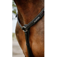 Produktbild von Norton Pop Jagdhalsband für Pferde aus Biothane Schwarz