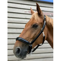 Produktbild von Norton Pro Anatomique Lederhalfter für Pferde in Schwarz