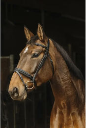 Produktbild von Norton Pro Apophyse Zaumzeug aus Leder für Ponys in Schwarz