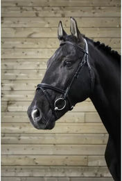 Produktbild von Norton Pro Fin Zaumzeug aus Leder in Schwarz