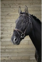 Produktbild von Norton Pro Fin Zaumzeug für Ponys aus Leder in Braun