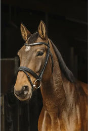 Produktbild von Norton Pro Galon Zaumzeug aus Leder für Vollblut in Schwarz