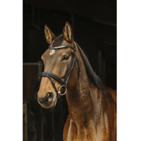 Produktbild von Norton Pro Galon Zaumzeug aus Leder Schwarz