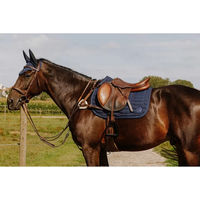 Produktbild von Norton Pro Jagdhalsband für Pferde aus Leder in Blau