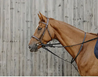 Produktbild von Norton Pro Thiedeman Elastisches Zaumzeug für Pferde aus Leder für Ponys