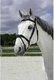 Produktbild von Norton Pro Vague Trensenzaum aus Leder für Warmblut in Schwarz
