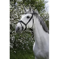 Produktbild von Norton Pro Zaumzeug Strass Leder Schwarz für Warmblut