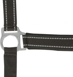 Produktbild von Norton Reflective Halfter für Ponys aus Neopren in Braun oder Schwarz