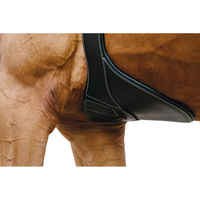 Produktbild von Norton Reitlatzgurt Magnet aus Leder in Schwarz