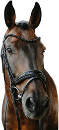 Produktbild von Norton Royal Trense aus Leder in Schwarz und Silber