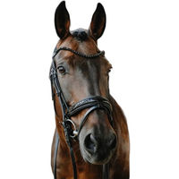 Produktbild von Norton Royal Trense aus Leder in Schwarz und Silber