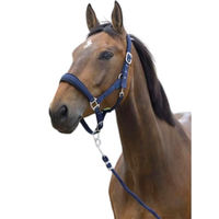 Produktbild von Norton S-LINE Halfter und Führstrick Set für Pferde Warmblut in Marineblau aus Neopren