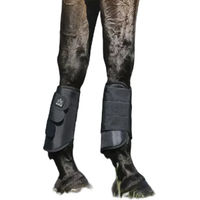 Produktbild von Norton Xtr 1680D Gamaschen für Pferde aus Nylon Schwarz XS