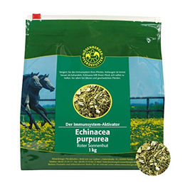 Nösenberger Echinacea purpurea Roter Sonnenhut zur Immunstärkung 1 kg - 1 kg – Bild 1 von 4