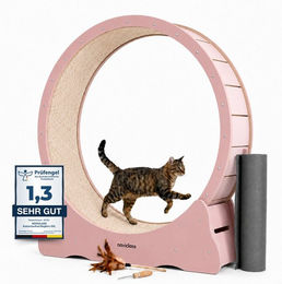 noviclass Katzenlaufrad Baghira XXL aus Holz 120cm Innendurchmesser – Bild 1 von 2