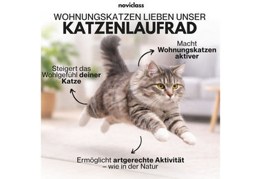 noviclass Katzenlaufrad Baghira XXL Weiß mit 120cm Innendurchmesser für erwachsene Katzen – Bild 1 von 3