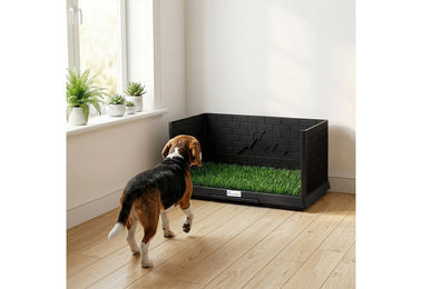 Novzep Hundetoilette mit Kunstrasen und herausziehbarer Schale für kleine bis mittlere Hunde 75 x 51 cm – Bild 1 von 4