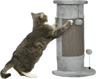 Novzep Kratzbaum für Katzen mit Spielzeug-Bällen aus Plüsch und Sisal in Grau, 34 x 25,5 x 58 cm – Bild 1 von 4