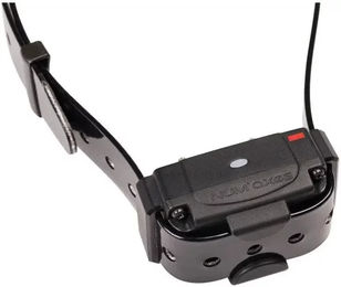 Produktbild von Num'axes Canifugue FUG1034 Drahtloser Hundezaun für erwachsene Hunde in Schwarz