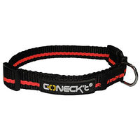 Produktbild von Num'axes Hundehalsband Every Day Life aus Nylon in Schwarz-Orange Größe L
