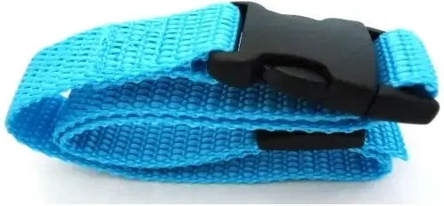 Produktbild von Num'axes Nylonriemen für Hunde in Türkis und Blau