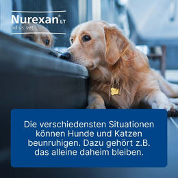 Nurexan ad us. vet Beruhigung Bio – Bild 1 von 2