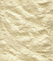 Nutribird Allround Vogelfutter Hauptfutter 900g - 800 g – Bild 1 von 2