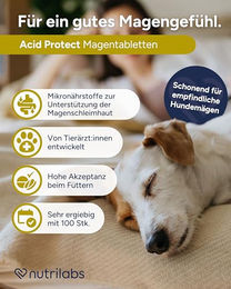NutriLabs Acid Protect Kautabletten zur Magen-Darm-Unterstützung für Hunde 100 Stück – Bild 1 von 7