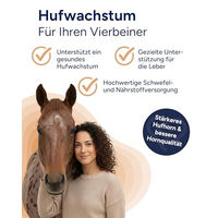 Produktbild von NutriLabs Biotin Liquid für Pferde zur Unterstützung von Haut, Fell und Hufen 2 l - 2 l