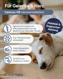 NutriLabs Canicox-GR Kautabletten für Senioren-Hunde zur Unterstützung der Gelenke 50 Stück – Bild 1 von 9
