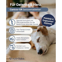 Produktbild von NutriLabs Canicox-GR Kautabletten für Senioren-Hunde zur Unterstützung der Gelenke 50 Stück