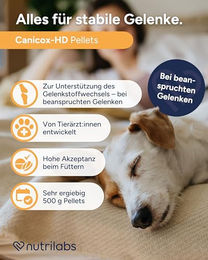 NutriLabs Canicox-HD Gelenk-Pellets für Hunde 500 g zur Unterstützung der Gelenkgesundheit - 500 g – Bild 1 von 6