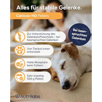 Produktbild von NutriLabs Canicox-HD Gelenk-Pellets für Hunde 500 g zur Unterstützung der Gelenkgesundheit - 500 g