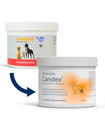 NutriLabs Canidex Gelenk-Kautabletten für Hunde mit MSM, Hyaluronsäure und Glucosamin 60 Stück – Bild 1 von 5