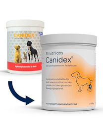 NutriLabs Canidex Gelenktabletten für Hunde mit MSM, Hyaluronsäure und Glucosamin 250 Stück – Bild 1 von 6