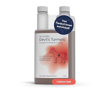 Produktbild von Nutrilabs Devil's Turmeric Bewegungssaft für Pferde 1 l mit Gelbwurz und Teufelskralle zur Unterstützung der Gelenke - 1 l