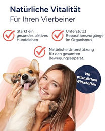 NutriLabs Dexboron forte Kautabletten für Hunde mit Teufelskralle und Weidenrinde 450 Stück – Bild 1 von 6
