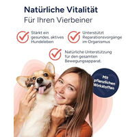 Produktbild von NutriLabs Dexboron forte Kautabletten für Hunde mit Teufelskralle und Weidenrinde 450 Stück