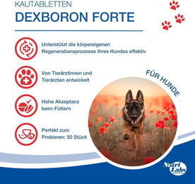 NutriLabs Dexboron Forte Kautabletten für Hunde zur Unterstützung der Gelenke 150 Stück – Bild 1 von 9