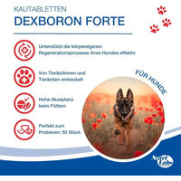 Produktbild von NutriLabs Dexboron Forte Kautabletten für Hunde zur Unterstützung der Gelenke 150 Stück