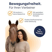 Produktbild von NutriLabs Glukosaminol Equin Gelenk-Pulver für Pferde 600 g - 600 g