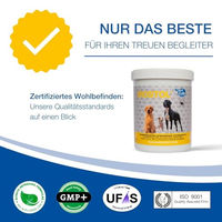 Produktbild von NutriLabs Irostol Pellets Nahrungsergänzung für Hunde zur Unterstützung von Haut, Fell und Leber 500 g - 500 g